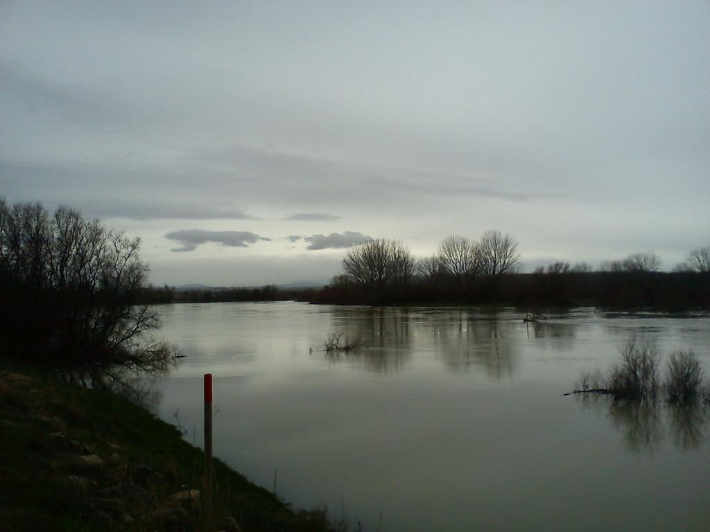 La Palmera De La Insula Alcala de Ebro ภายนอก รูปภาพ