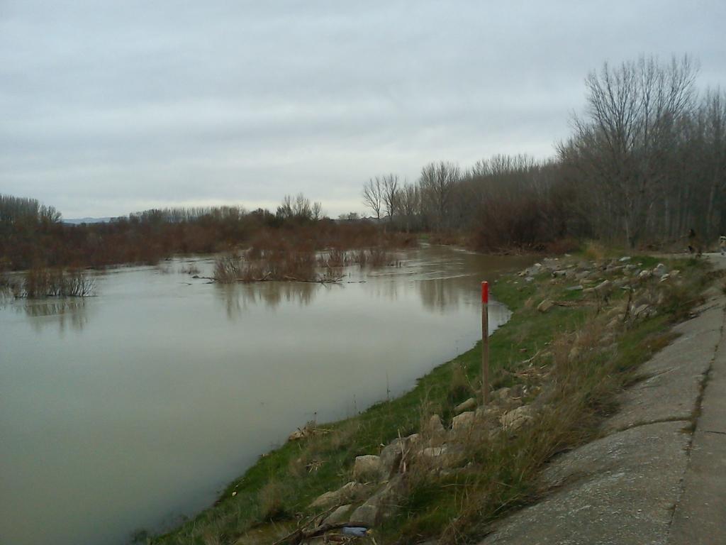 La Palmera De La Insula Alcala de Ebro ภายนอก รูปภาพ