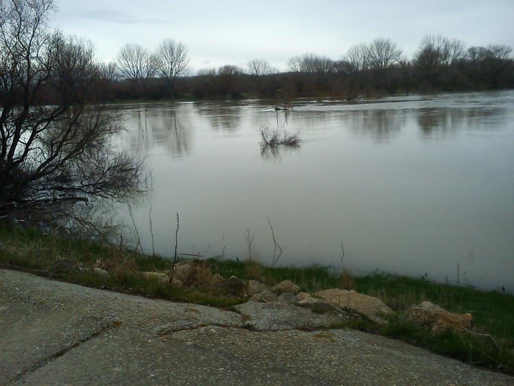 La Palmera De La Insula Alcala de Ebro ภายนอก รูปภาพ