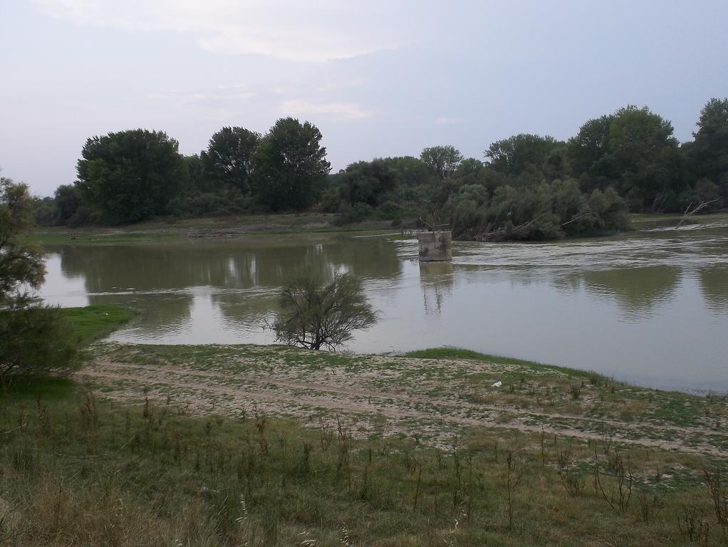La Palmera De La Insula Alcala de Ebro ภายนอก รูปภาพ