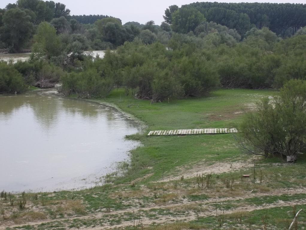 La Palmera De La Insula Alcala de Ebro ภายนอก รูปภาพ