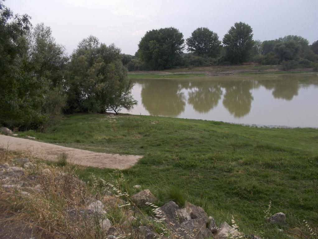 La Palmera De La Insula Alcala de Ebro ภายนอก รูปภาพ
