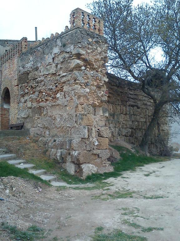 La Palmera De La Insula Alcala de Ebro ภายนอก รูปภาพ