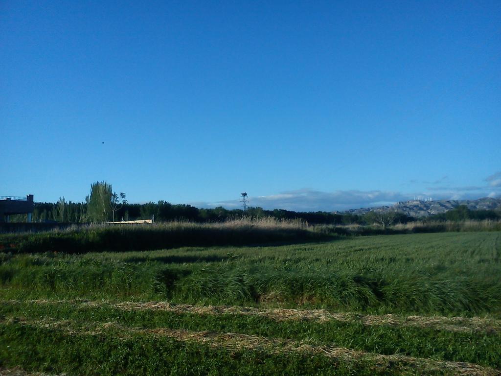 La Palmera De La Insula Alcala de Ebro ภายนอก รูปภาพ